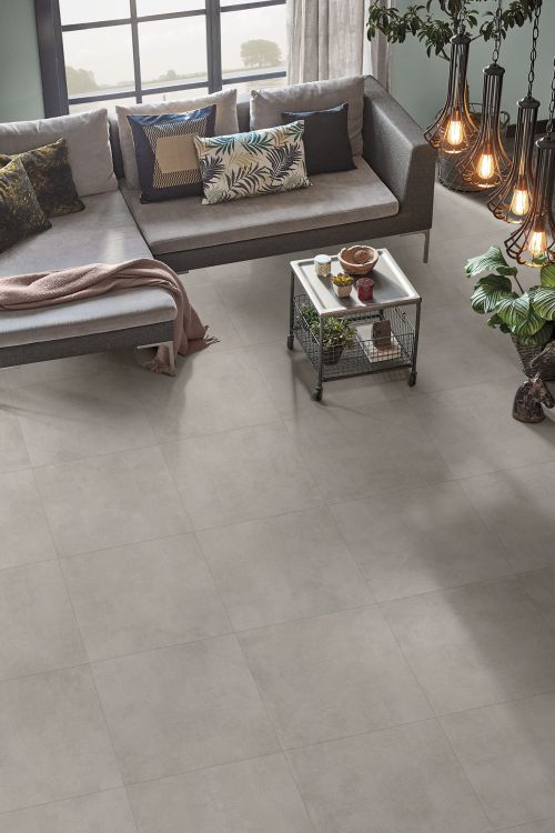 Absolute Cement Grey 24 x 48